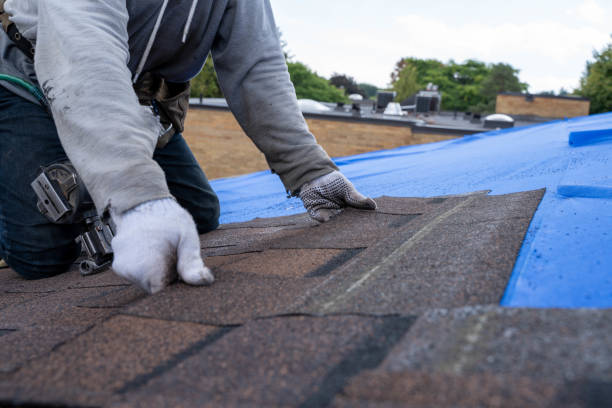 Best Roof Gutter Cleaning  in Breckenridge, MN