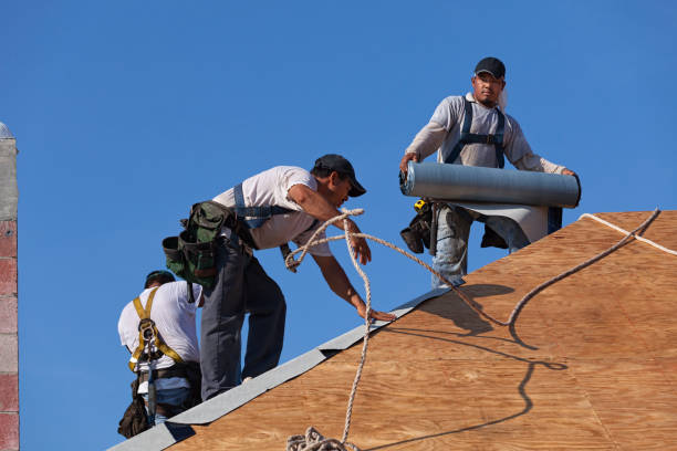 Best Best Roofing Contractors  in Breckenridge, MN