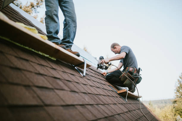 Best Gutter Installation and Roofing  in Breckenridge, MN