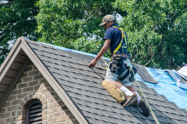 Best Roof Leak Repair  in Breckenridge, MN